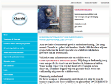 Tablet Screenshot of cherabi.uw-vakschilder.nl